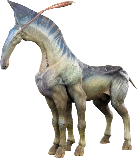 Pa'li — le direhorse