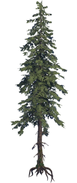 Biomes de Pandora